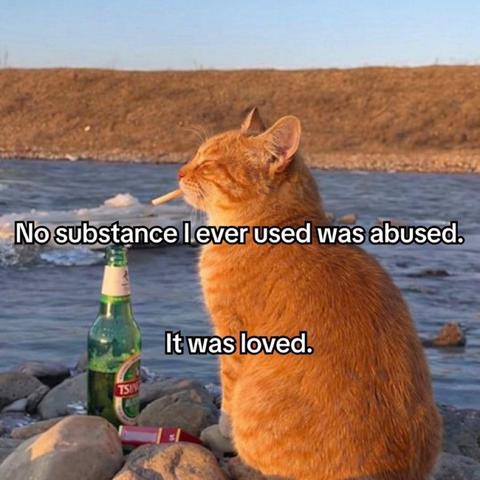 A picture of a cat with a cigarette and beer that says “No substance I ever used was abused. It was loved.”

