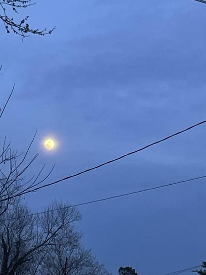 The moon over trees and a power line