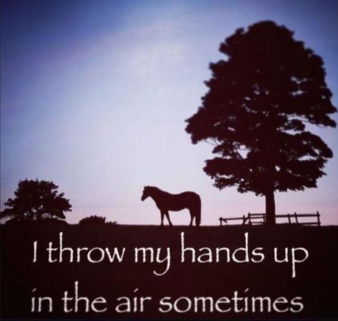 Aesthetic text over a silhouette of a horse that says “I throw my hands up in the air sometimes”