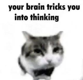 your brain tricks you
into thinking
