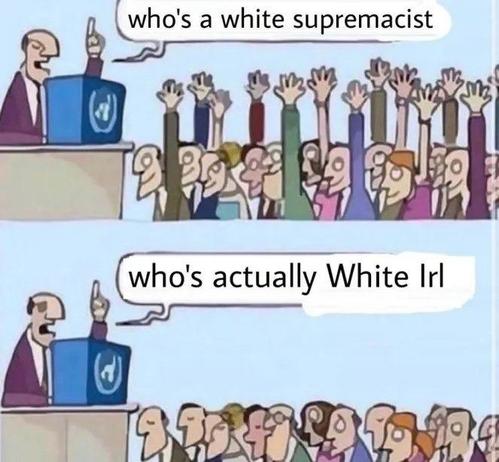 “Who’s a white supremacist” *everyone raises hand* “Who’s actually White IRL” *nobody raises hand*