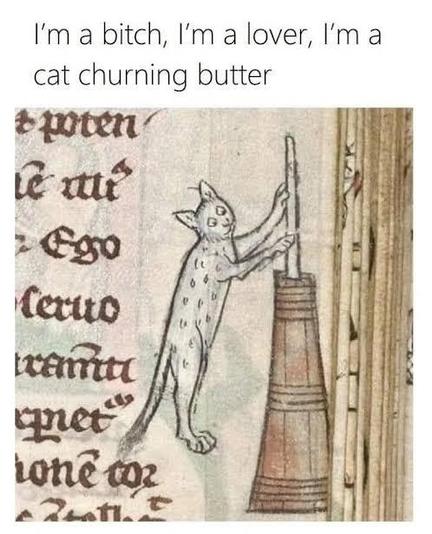 I'm a bitch, I'm a lover, I'm a

cat churning butter  
